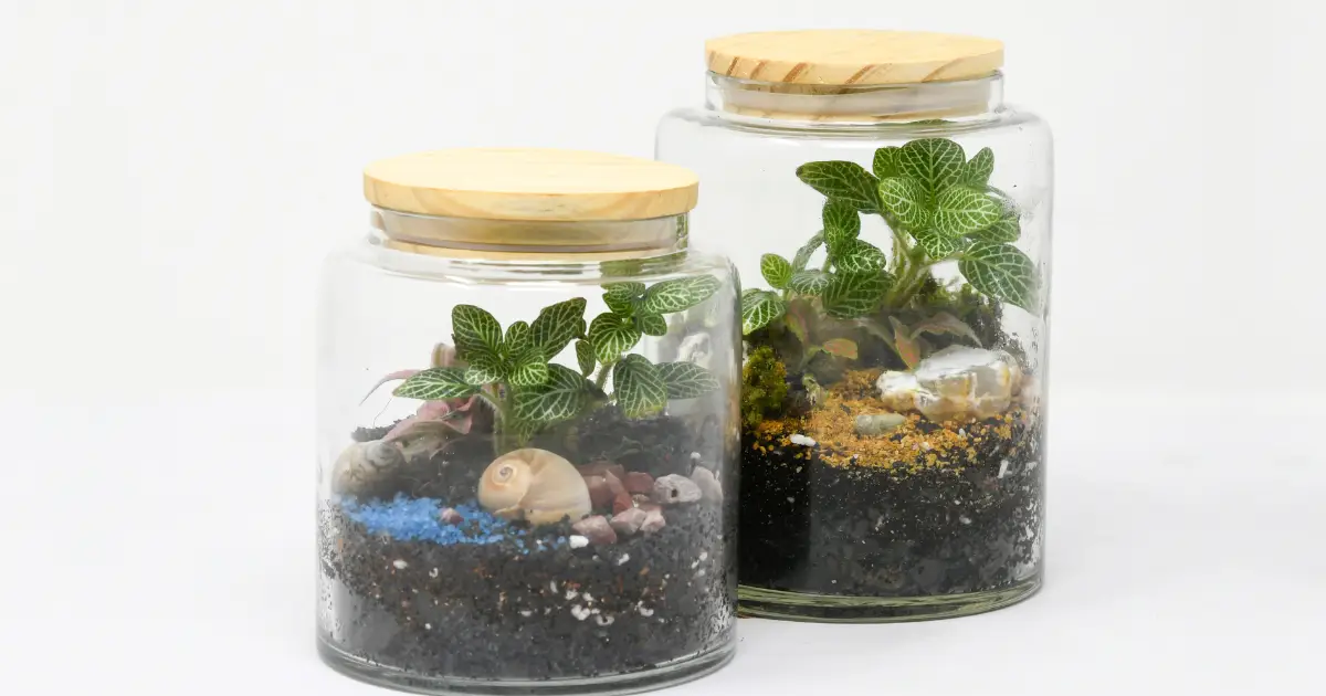 Terrarium