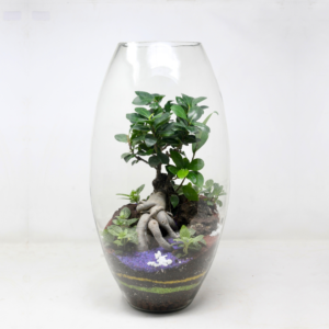 19" Dome Closed Terrarium