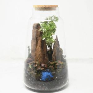 10" Cone Closed Terrarium