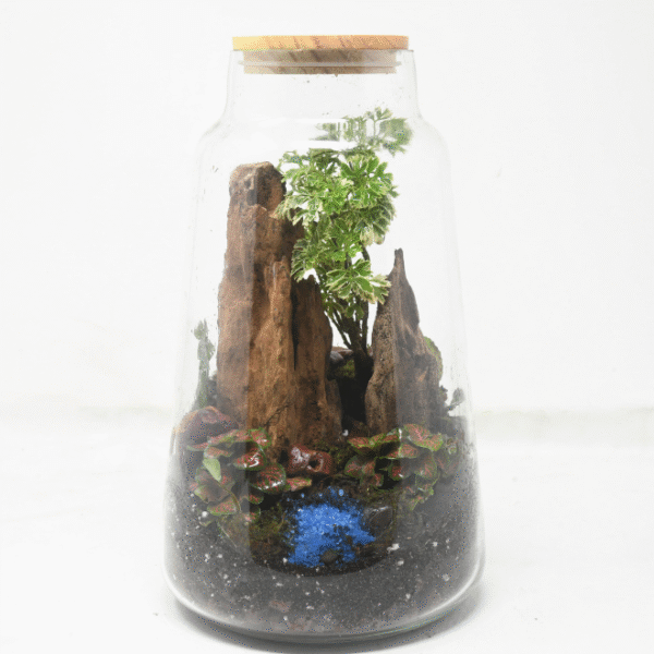 10" Cone Closed Terrarium