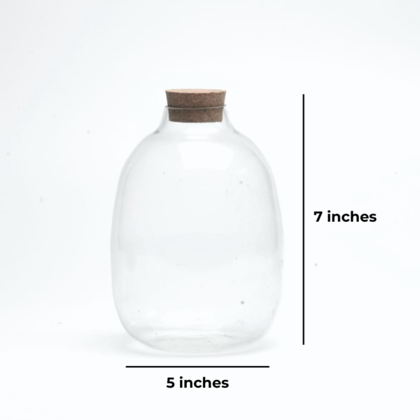 7" Oakley Closed Terrarium Glass Jar - Image 2