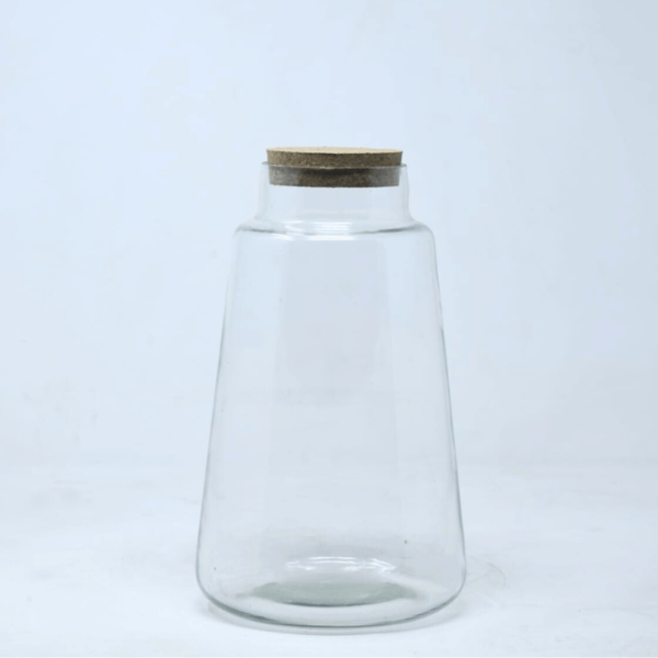 10" Cone Closed Terrarium Jar