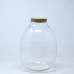 10" Oakley Closed Terrarium Jar