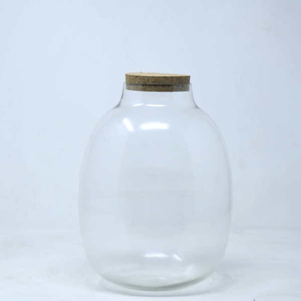 10" Oakley Closed Terrarium Jar
