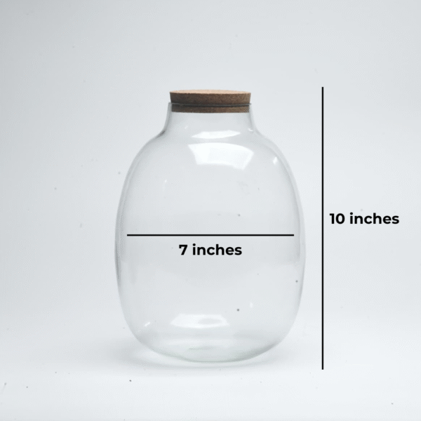10" Oakley Closed Terrarium Glass Jar - Image 2