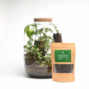 Closed Terrarium Tropical Substrate Soil