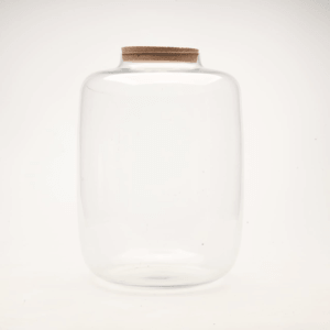 15" Amazonia Closed Terrarium Glass Jar