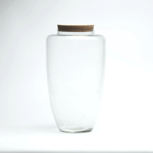 14" Arcadia Closed Terrarium Glass Jar