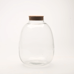 10" Oakley Closed Terrarium Glass Jar