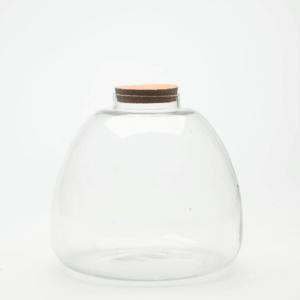 10" Terrabloom Closed Terrarium Glass Jar