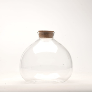 7" Terrabloom Closed Terrarium Glass Jar