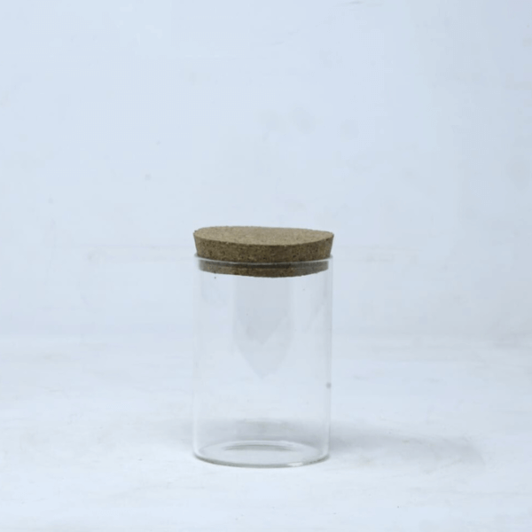 4" Mini Closed Terrarium Glass Jar