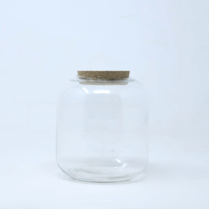 6" Papaya Closed Terrarium Jar