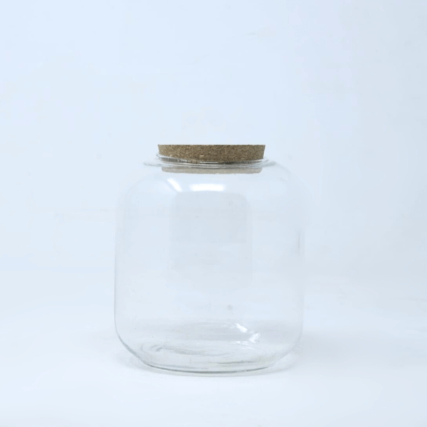 6" Papaya Closed Terrarium Jar