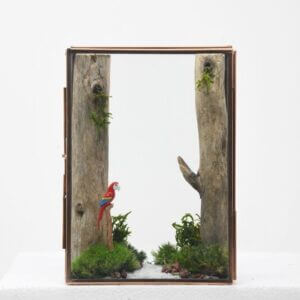 The Jungle Book - Exotic Nest