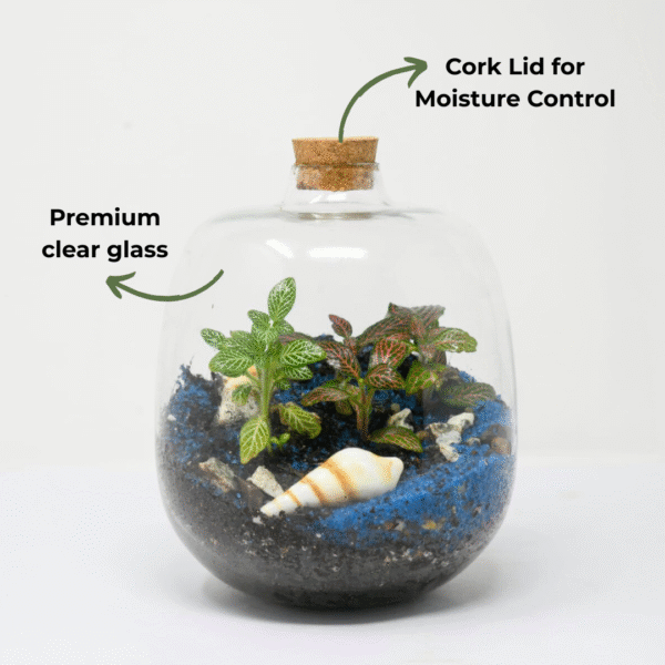 7" Amazonia Closed Terrarium Glass Jar - Image 3