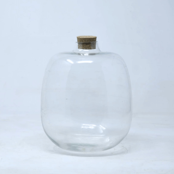 7" Amazonia Closed Terrarium Jar