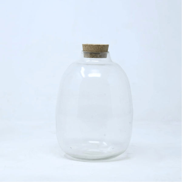 7" Oakley Closed Terrarium Jar