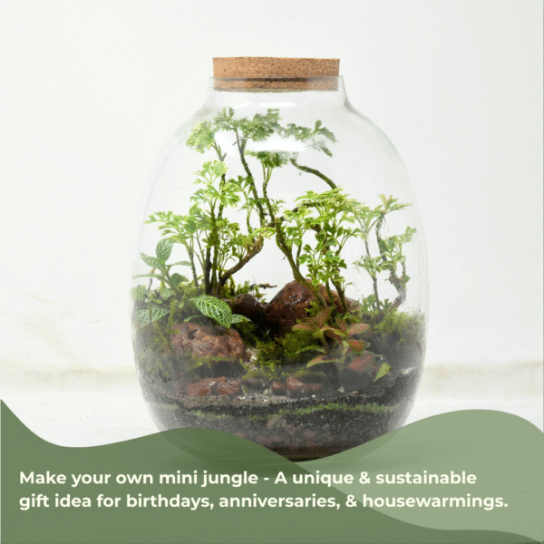 10" Oakley Closed Terrarium Glass Jar - Image 4