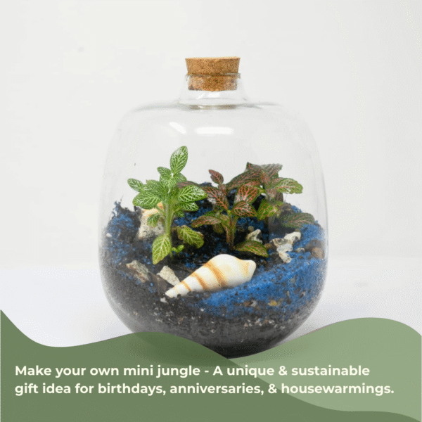 7" Amazonia Closed Terrarium Glass Jar - Image 4