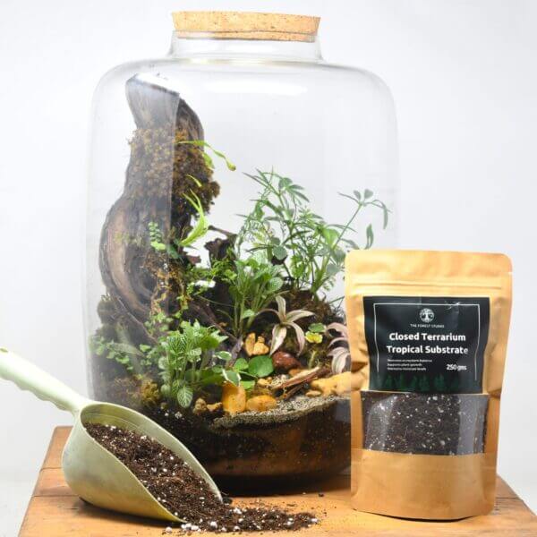 Closed Terrarium Tropical Substrate Soil - Image 2