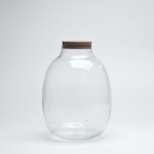 10" Oakley Closed Terrarium Glass Jar