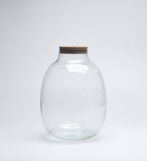 10" Oakley Closed Terrarium Glass Jar