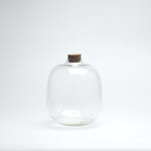 7" Amazonia Closed Terrarium Glass Jar
