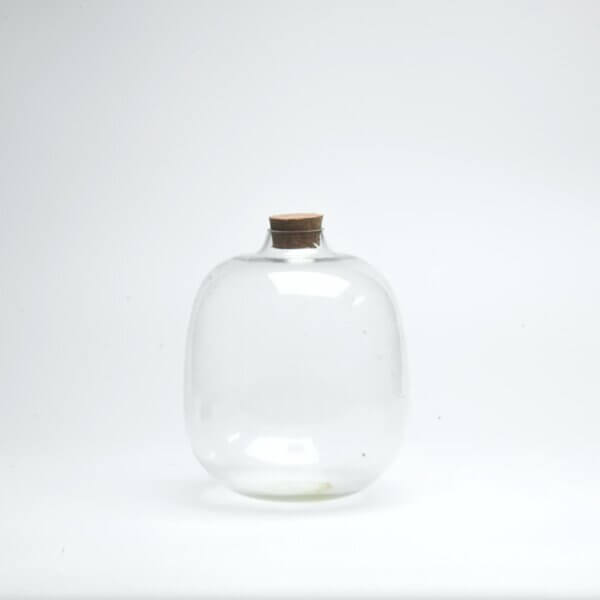 7" Amazonia Closed Terrarium Glass Jar
