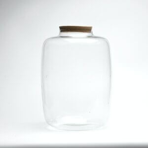 15" Amazonia Closed Terrarium Glass Jar