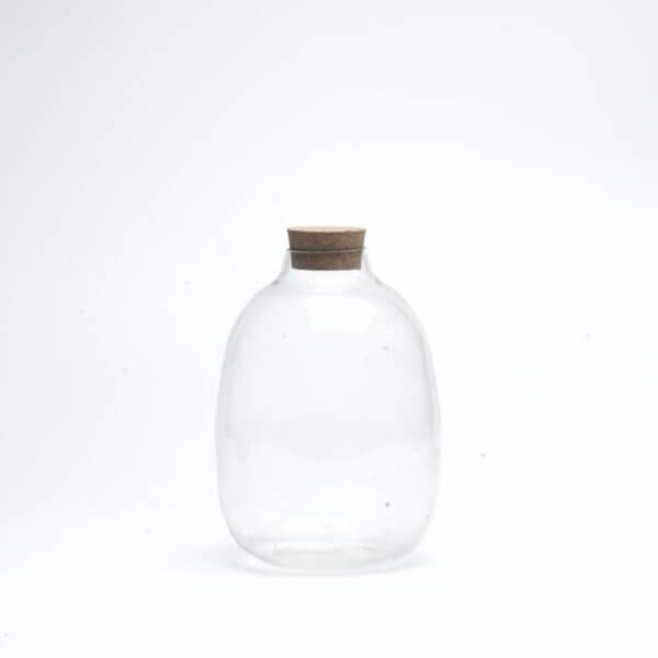 7" Oakley Closed Terrarium Glass Jar
