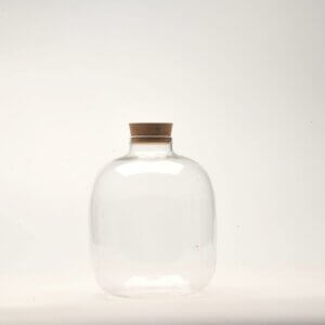 7" Amazonia Closed Terrarium Glass Jar