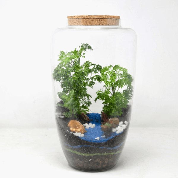 14" Arcadia Closed Terrarium