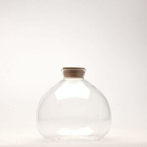 7" Terrabloom Closed Terrarium Glass Jar