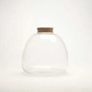 10" Terrabloom Closed Terrarium Glass Jar