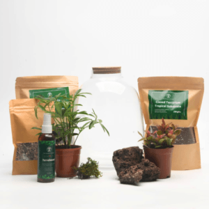 DIY Closed Terrarium Kit with 10" Oakley Glass Jar