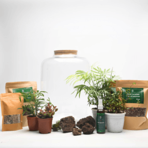 DIY Closed Terrarium Kit with 15" Amazonia Glass Jar