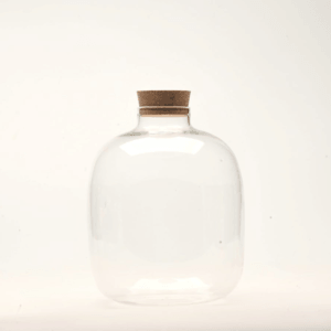 7" Amazonia Closed Terrarium Glass Jar