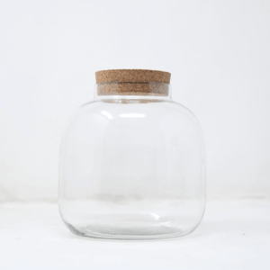6"  Amazonia Terrarium Glass Jar