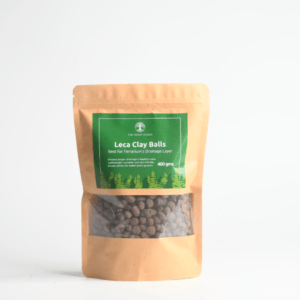 Premium Leca clay balls for terrariums