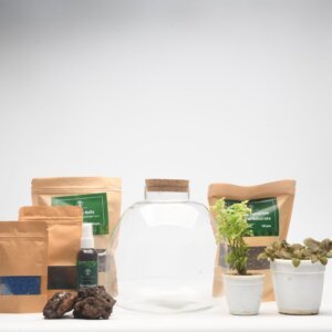 DIY Closed Terrarium Kit with 10" Terrabloom Glass Jar