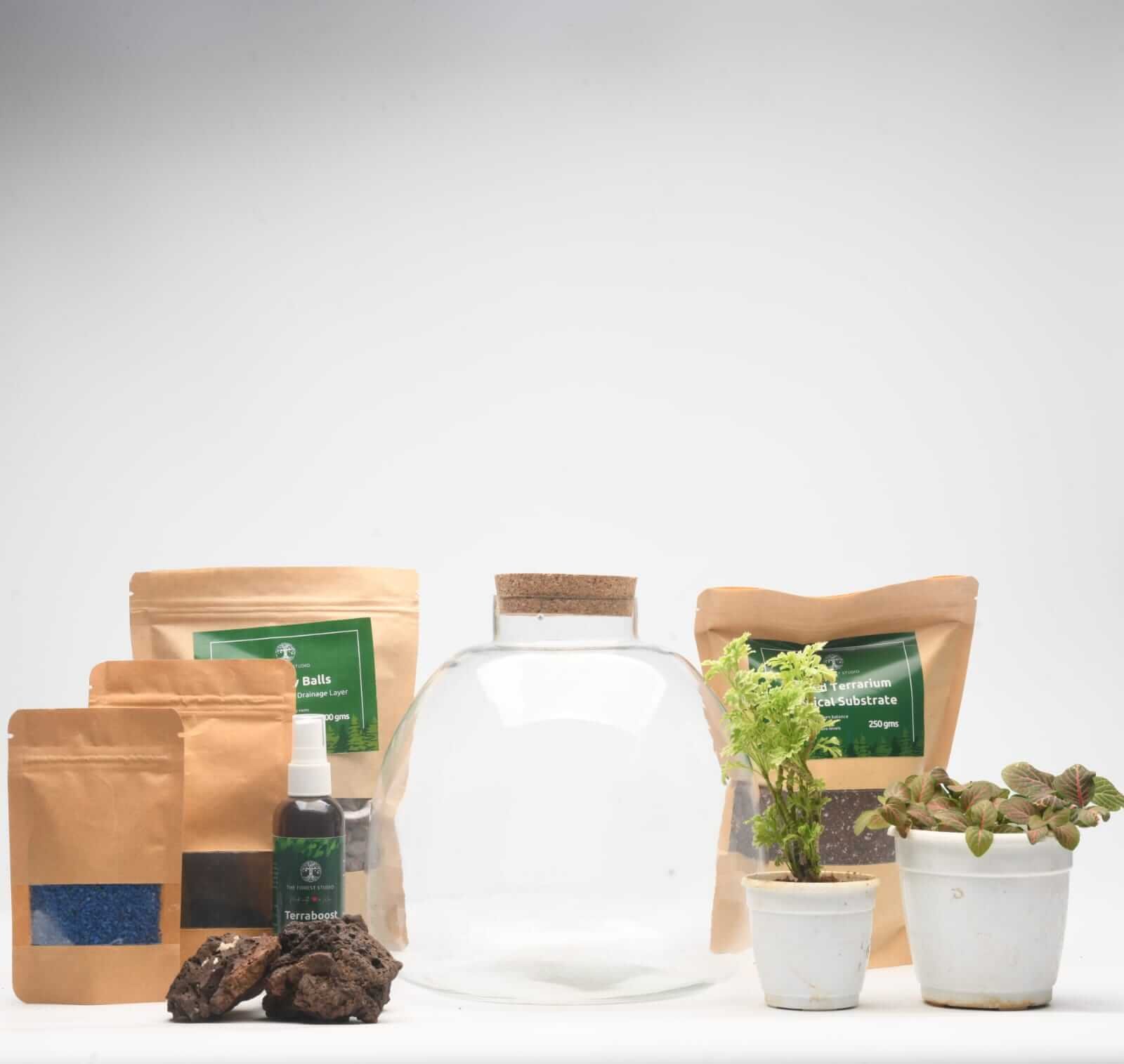 DIY Closed Terrarium Kit with 10" Terrabloom Glass Jar
