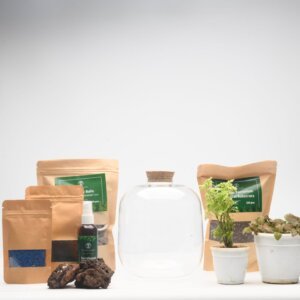 DIY Closed Terrarium Kit with 7" Amazonia Glass Jar