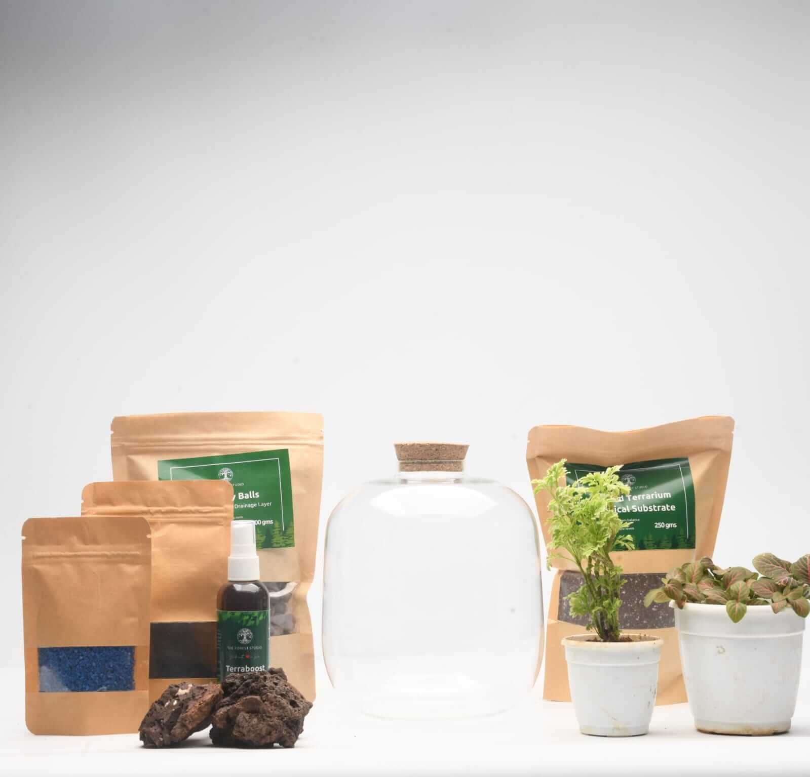 DIY Closed Terrarium Kit with 7" Amazonia Glass Jar