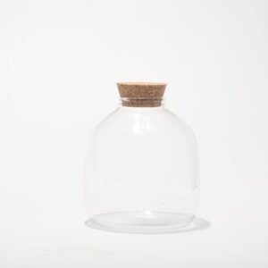 4.5" Flora Closed Terrarium Glass Jar