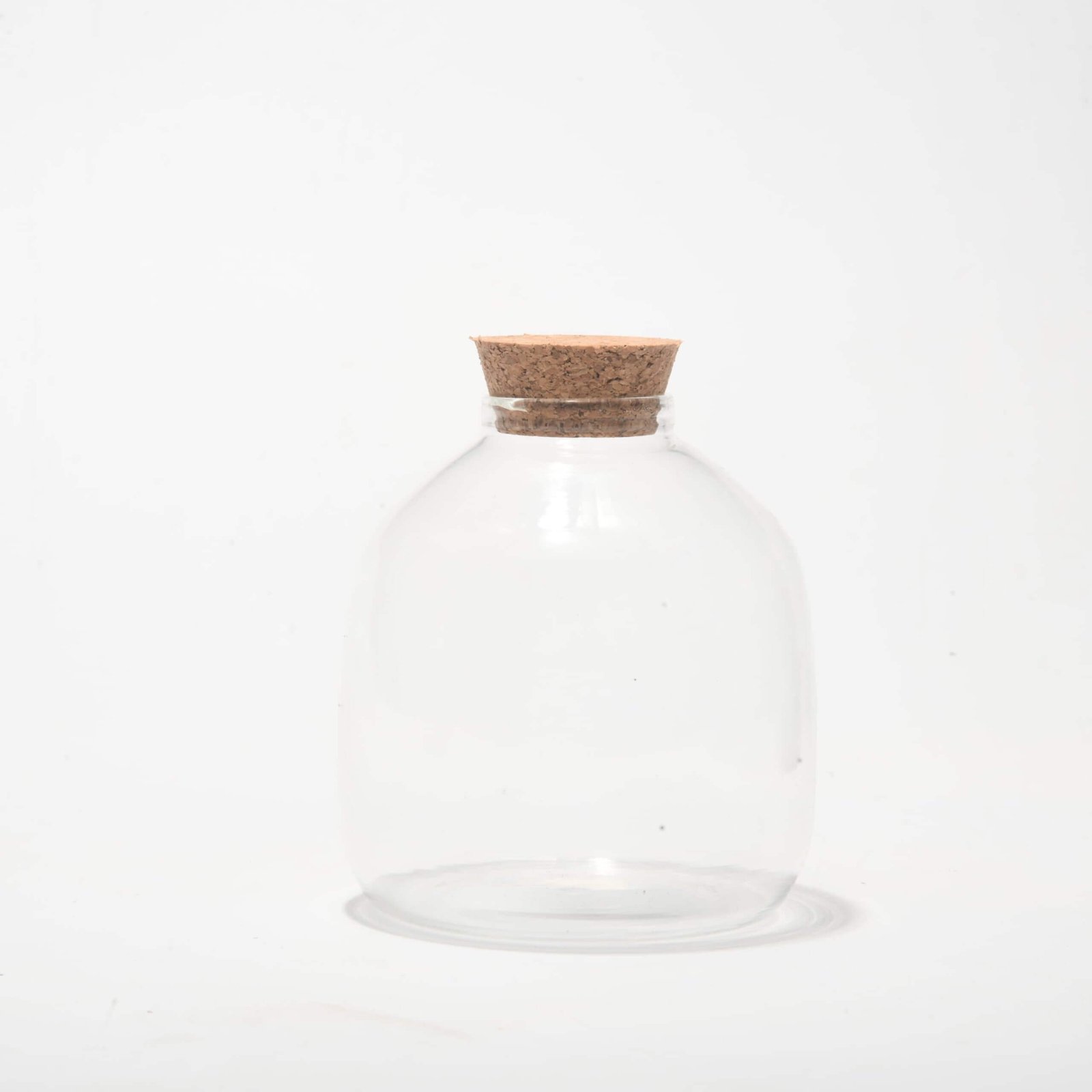 4.5" Flora Closed Terrarium Glass Jar