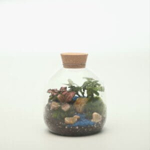 4.5" Flora Closed Terrarium