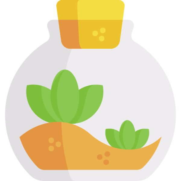 terrarium terrarium